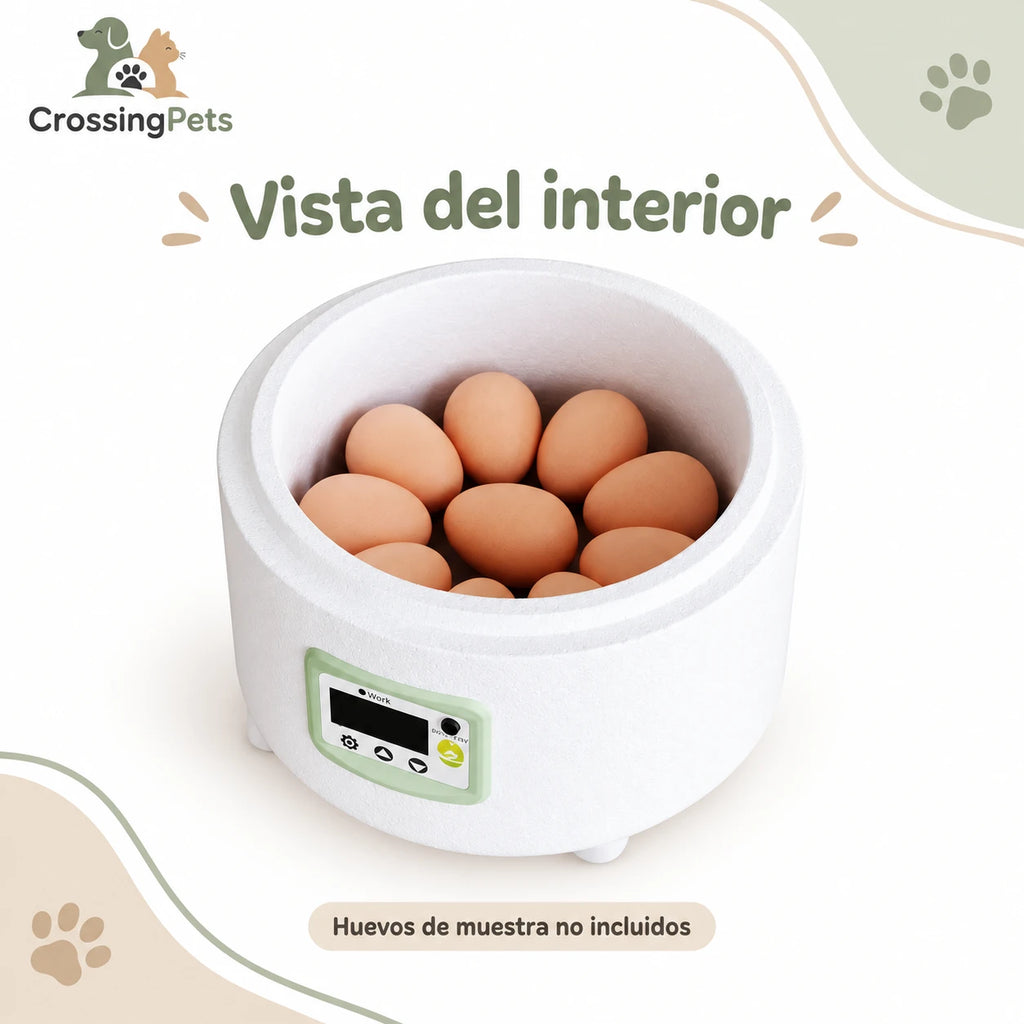 Incubadora compacta con panel digital y tapa superior — CrossingPets · imagen 3