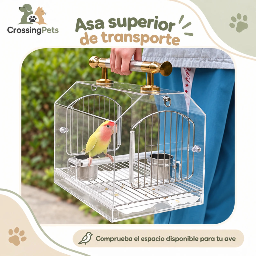 Jaula acrílica para aves con asa, posadero y comederos — CrossingPets · imagen 4