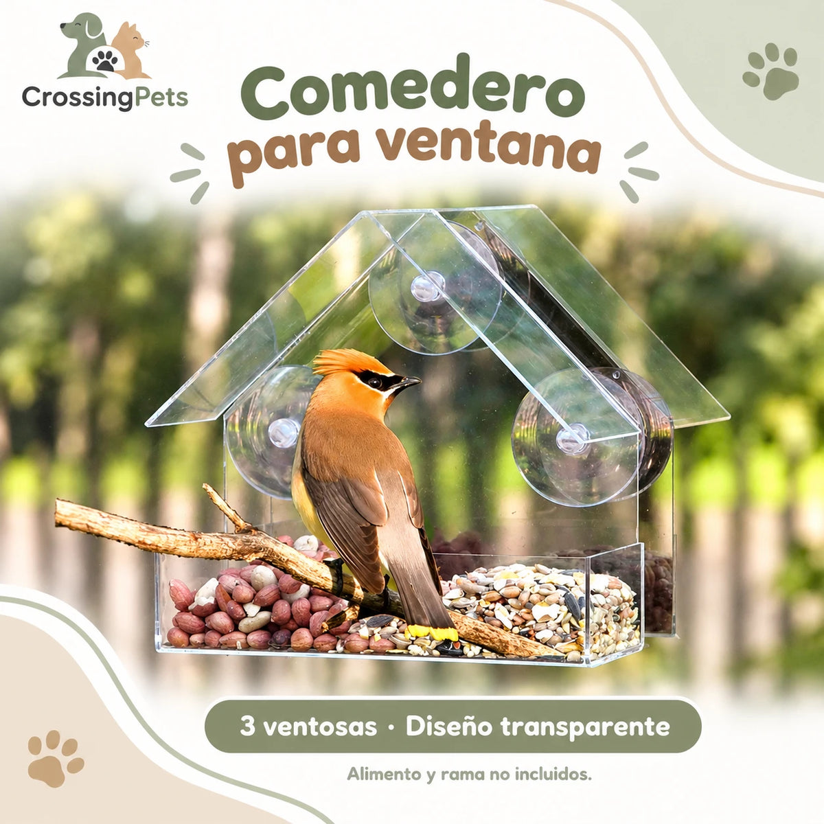 Comedero de ventana transparente con tres ventosas — CrossingPets · imagen 1