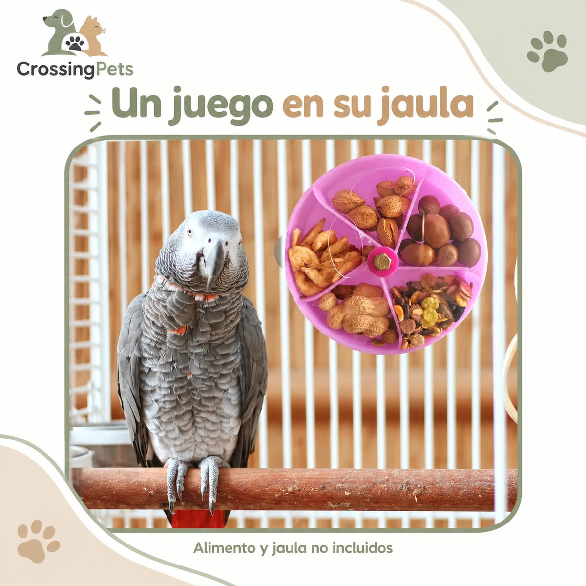 Rueda giratoria de búsqueda de comida para aves — CrossingPets · imagen 5