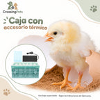 Caja plegable con almohadilla térmica para aves — CrossingPets · imagen 6