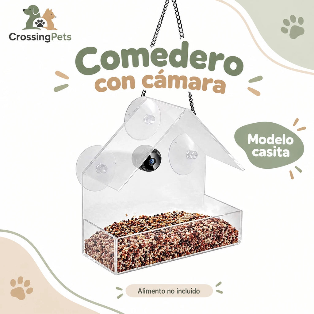 Comedero acrílico para aves con cámara Wi-Fi — CrossingPets · imagen 1
