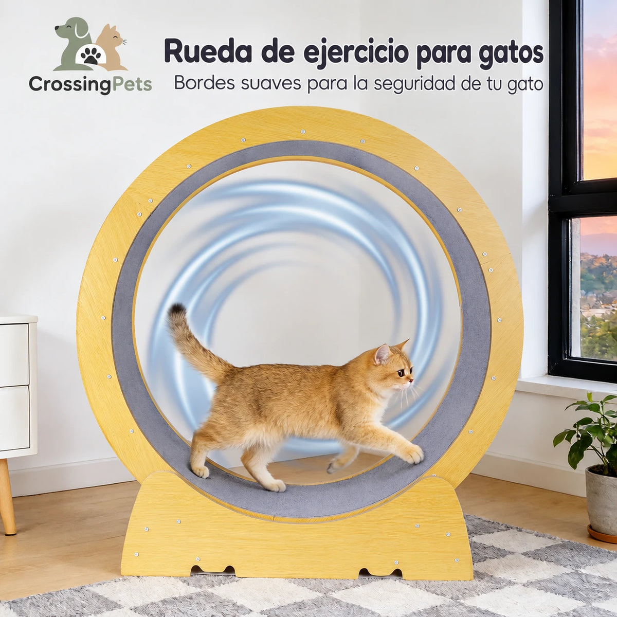 Cat exercise wheel with smooth edges and a carpeted running surface.