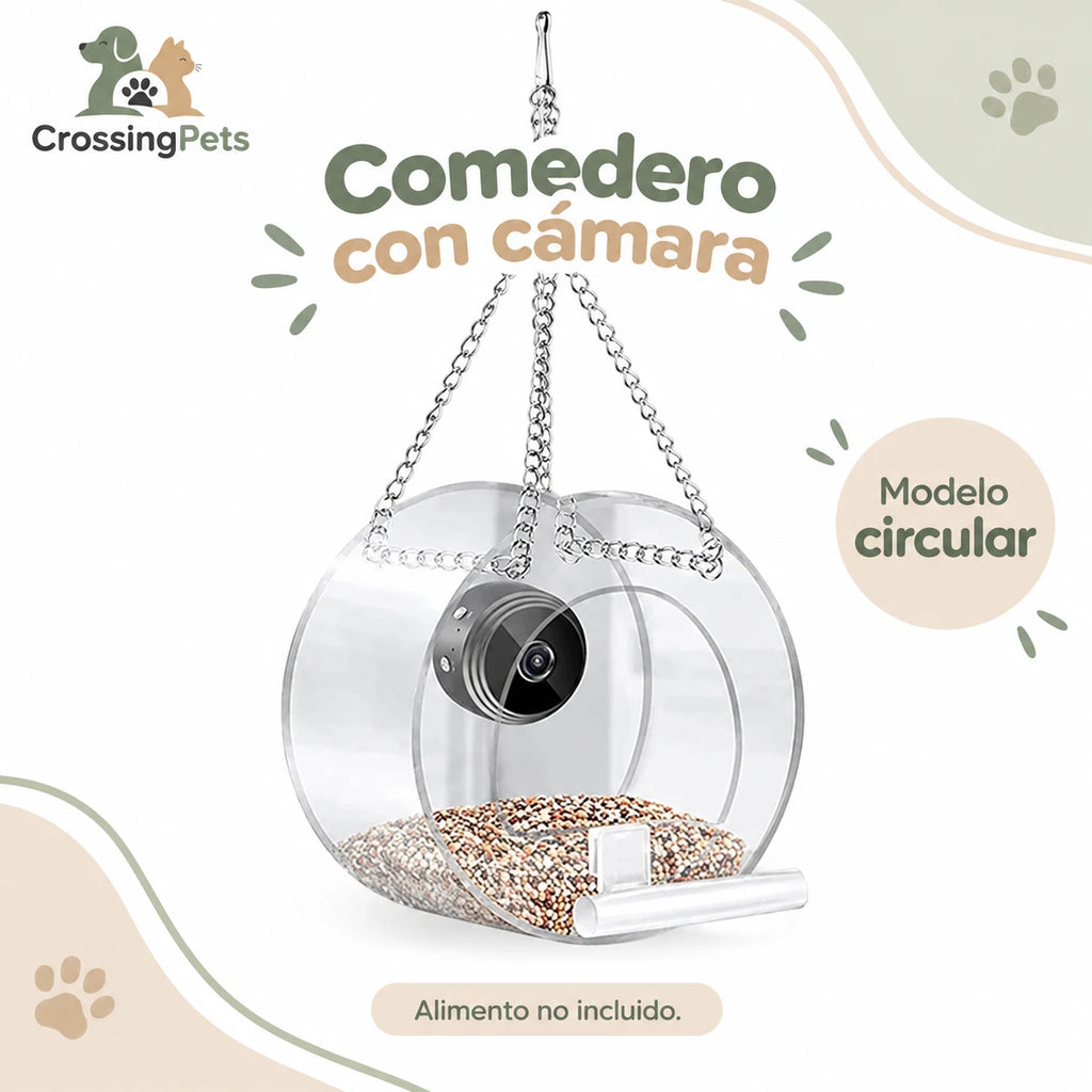 Comedero acrílico para aves con cámara Wi-Fi — CrossingPets · imagen 5