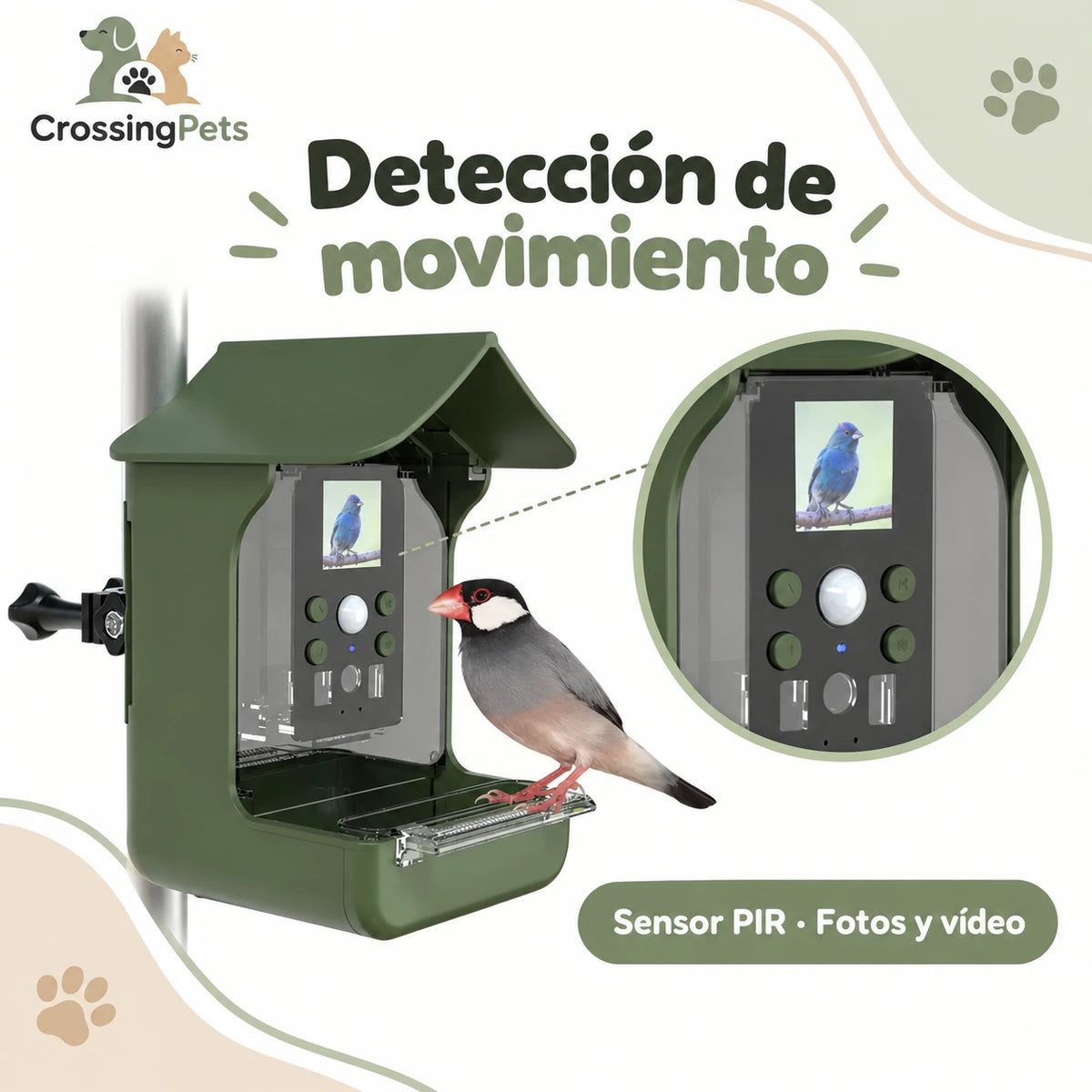 Comedero para aves con cámara y sensor de movimiento — CrossingPets · imagen 7
