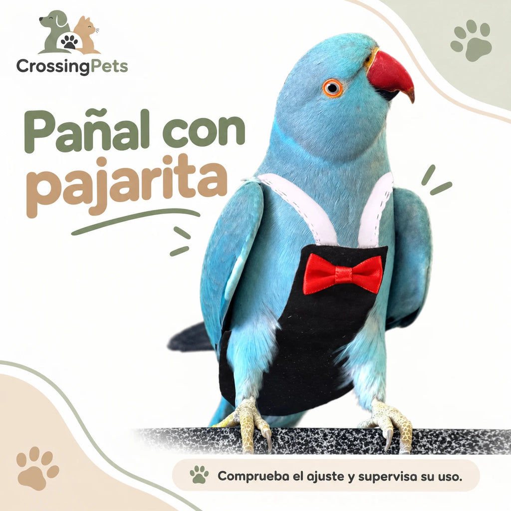 Pañal de tela con pajarita para aves — CrossingPets · imagen 9