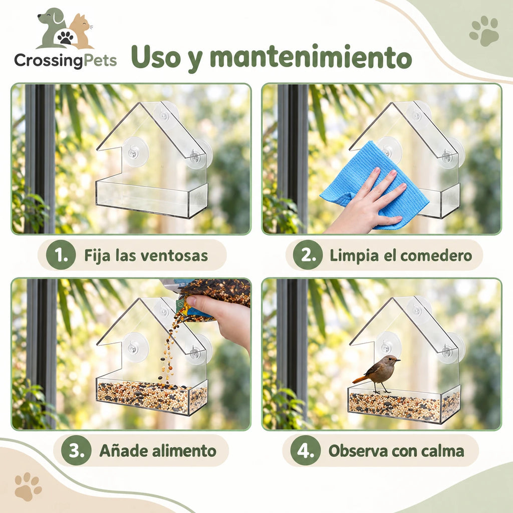 Comedero de ventana transparente con tres ventosas — CrossingPets · imagen 4