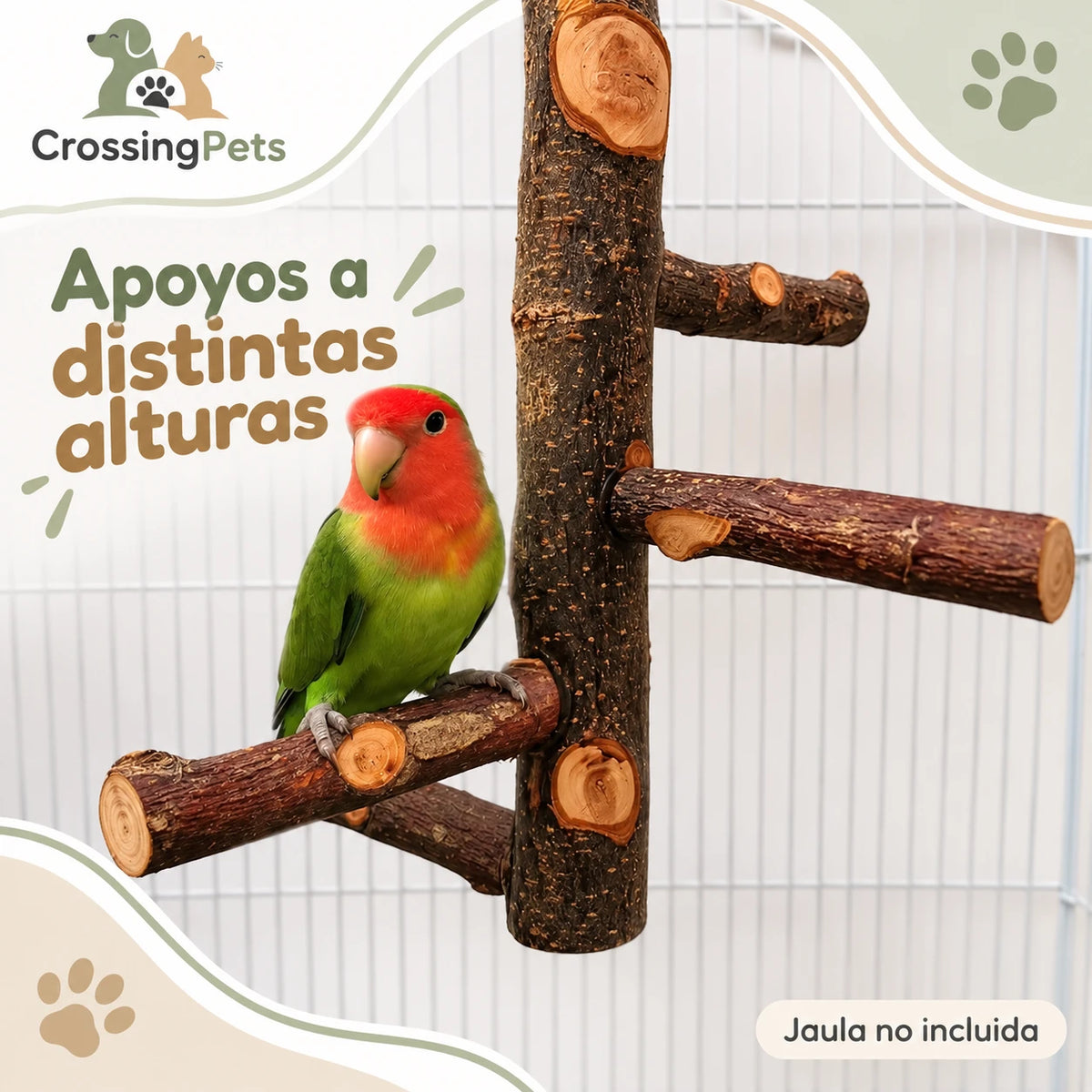 Posadero de madera de manzano con cuatro ramas para aves — CrossingPets · imagen 2