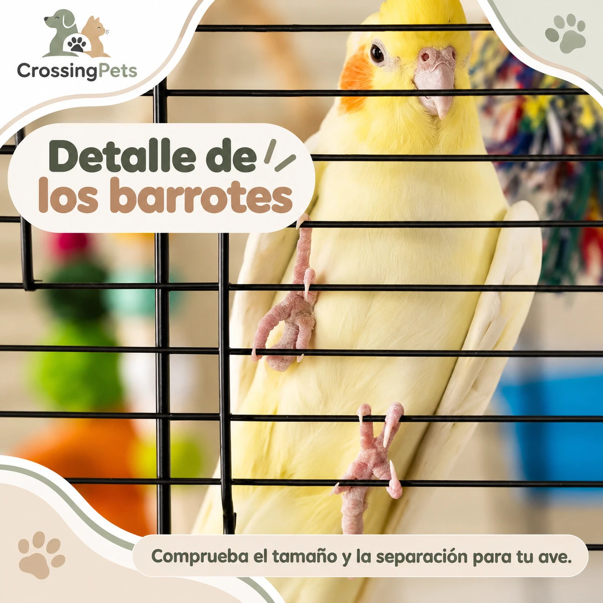 Jaula para aves con apertura superior y bandeja extraíble — CrossingPets · imagen 19