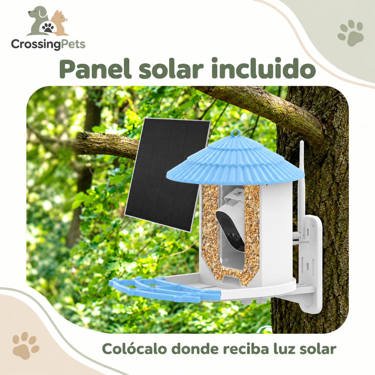 Comedero azul de 2 L con cámara Wi-Fi y panel solar — CrossingPets · imagen 4