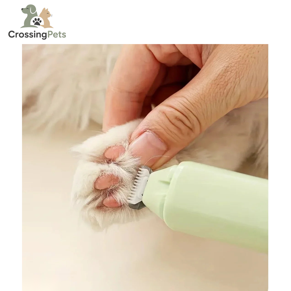 Silvetti nail grinder — image 6 — CrossingPets