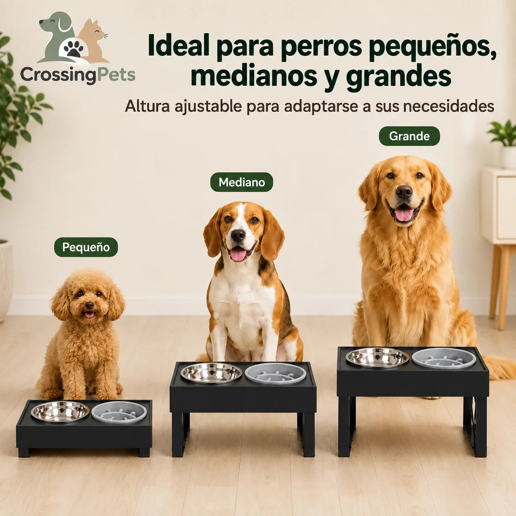 Cuenco regulable para perros pequeños, medianos y grandes — CrossingPets