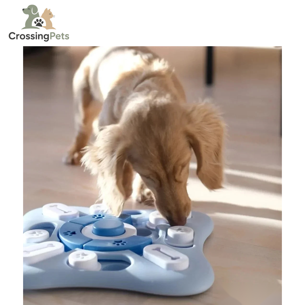 SmartPaw — imagen 10 — CrossingPets