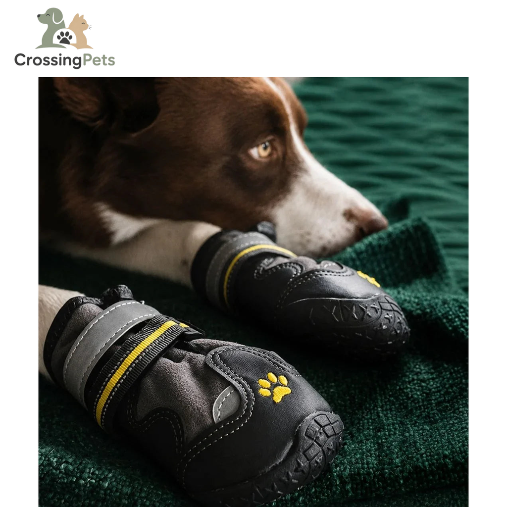 SnowGrip waterproof dog shoes (reflective) — image 2 — CrossingPets