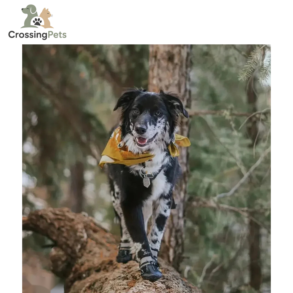 SnowGrip waterproof dog shoes (reflective) — image 3 — CrossingPets