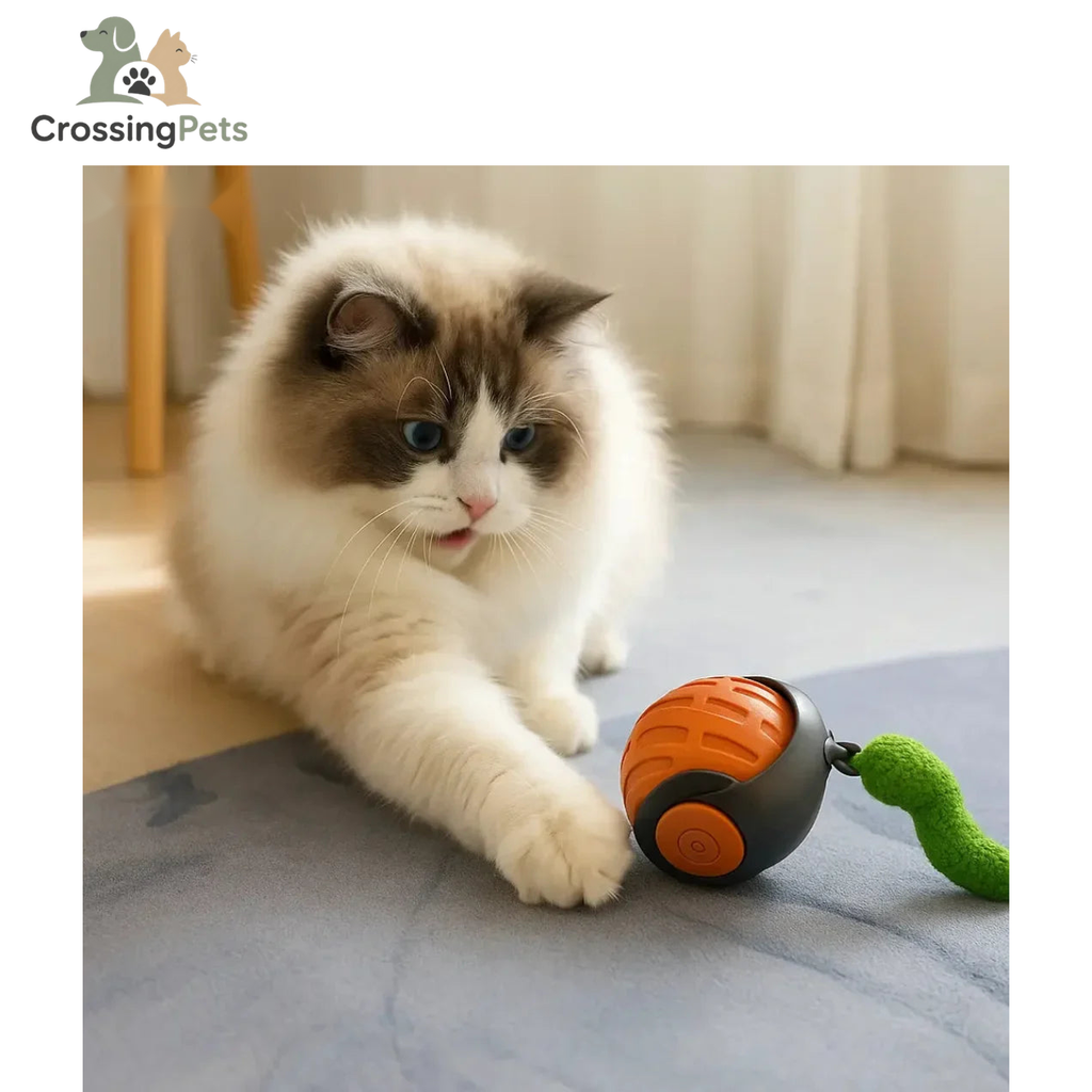 Juguete para gatos Felineo Spinball 2.0 — imagen 2 — CrossingPets