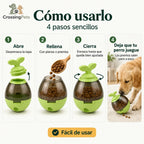 Comedero CrossingPets: instrucciones de uso