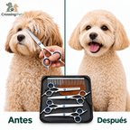 Hundescheren-Set für die Fellpflege — Bild 2 — CrossingPets