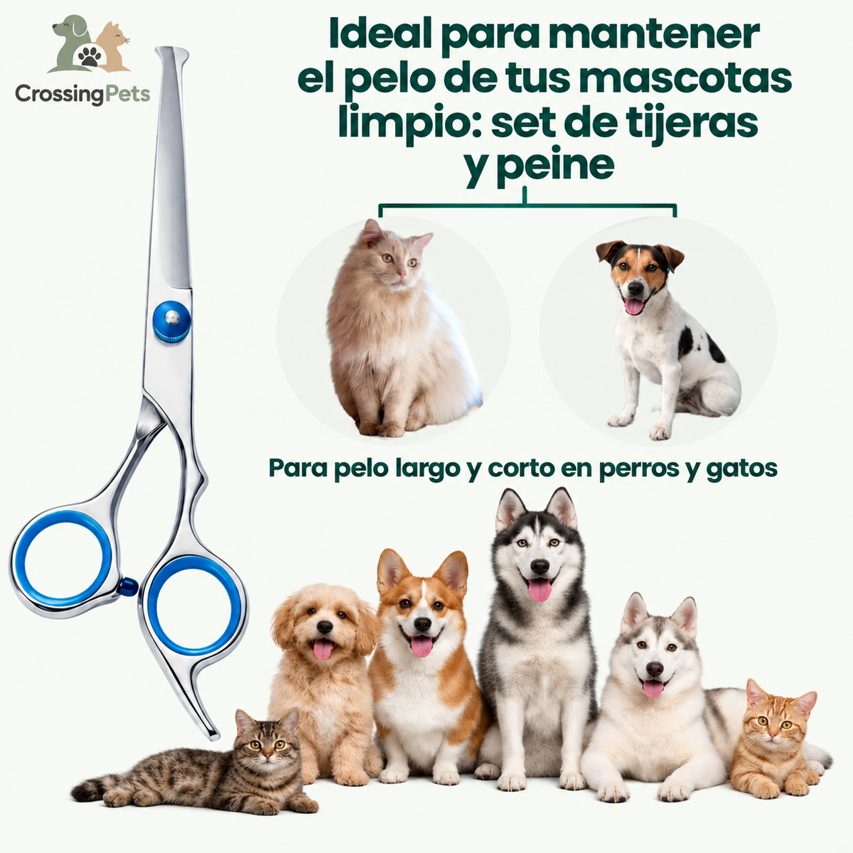 Hundescheren-Set für die Fellpflege — Bild 8 — CrossingPets
