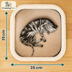 Barril rascador Lunatto CrossingPets — imagen 6, información en español