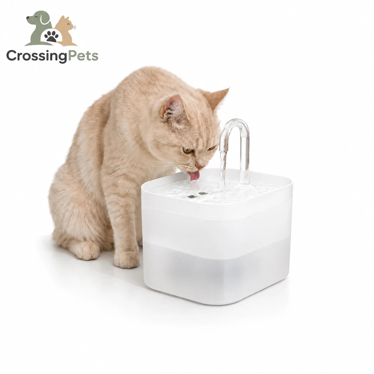 Fuente Fontaniano CrossingPets - imagen 2 en español
