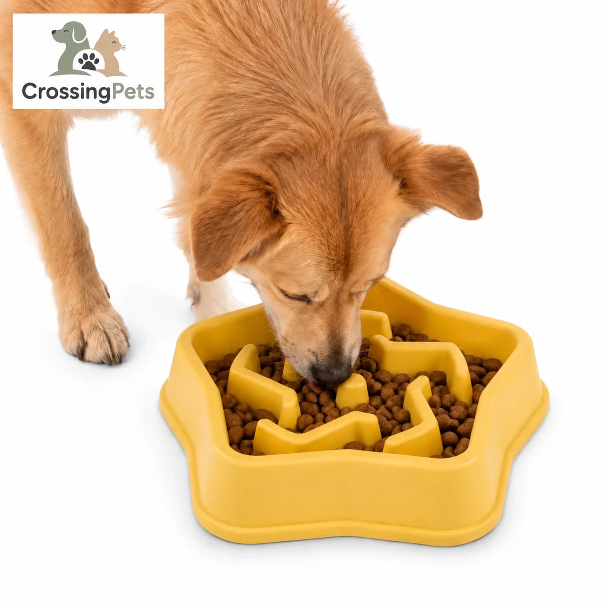 Slowfeeder Pro de CrossingPets: Variante amarilla con perro