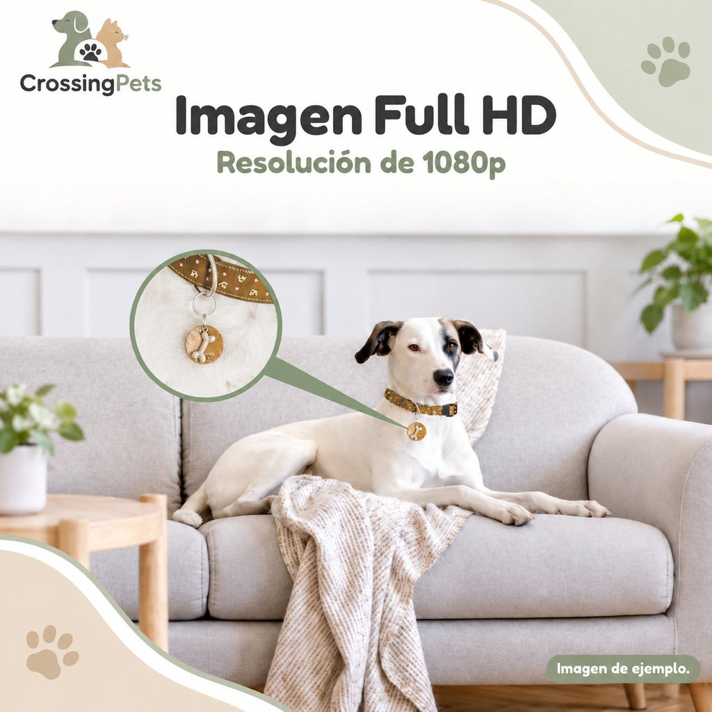 Cámara interior Netvue para mascotas con Wi-Fi y audio bidireccional — CrossingPets · imagen 3