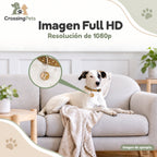 Cámara interior Netvue para mascotas con Wi-Fi y audio bidireccional — CrossingPets · imagen 3