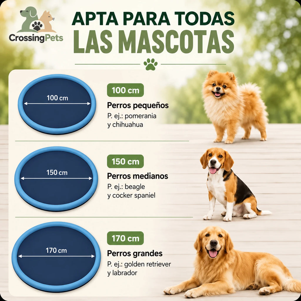 CrossingPets-Spritzmatte für Hunde — Bild 4 mit spanischem Text