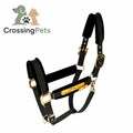 Cabestro acolchado Quilvera para caballos CrossingPets — imagen 1 en español