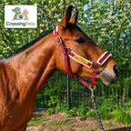 Cabestro acolchado Quilvera para caballos CrossingPets — imagen 9 en español