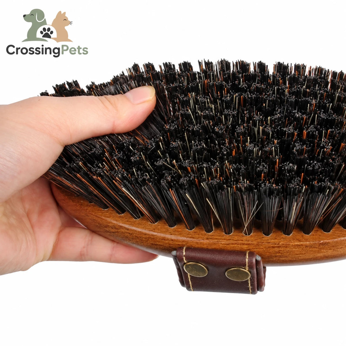 Cepillo de aseo prémium para caballos CrossingPets — imagen 7 en español