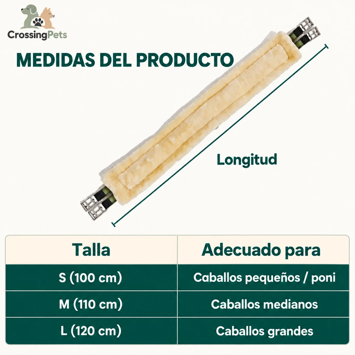 Cincha Quilvera — imagen 2 en español