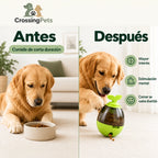 Comedero CrossingPets: juego durante la comida