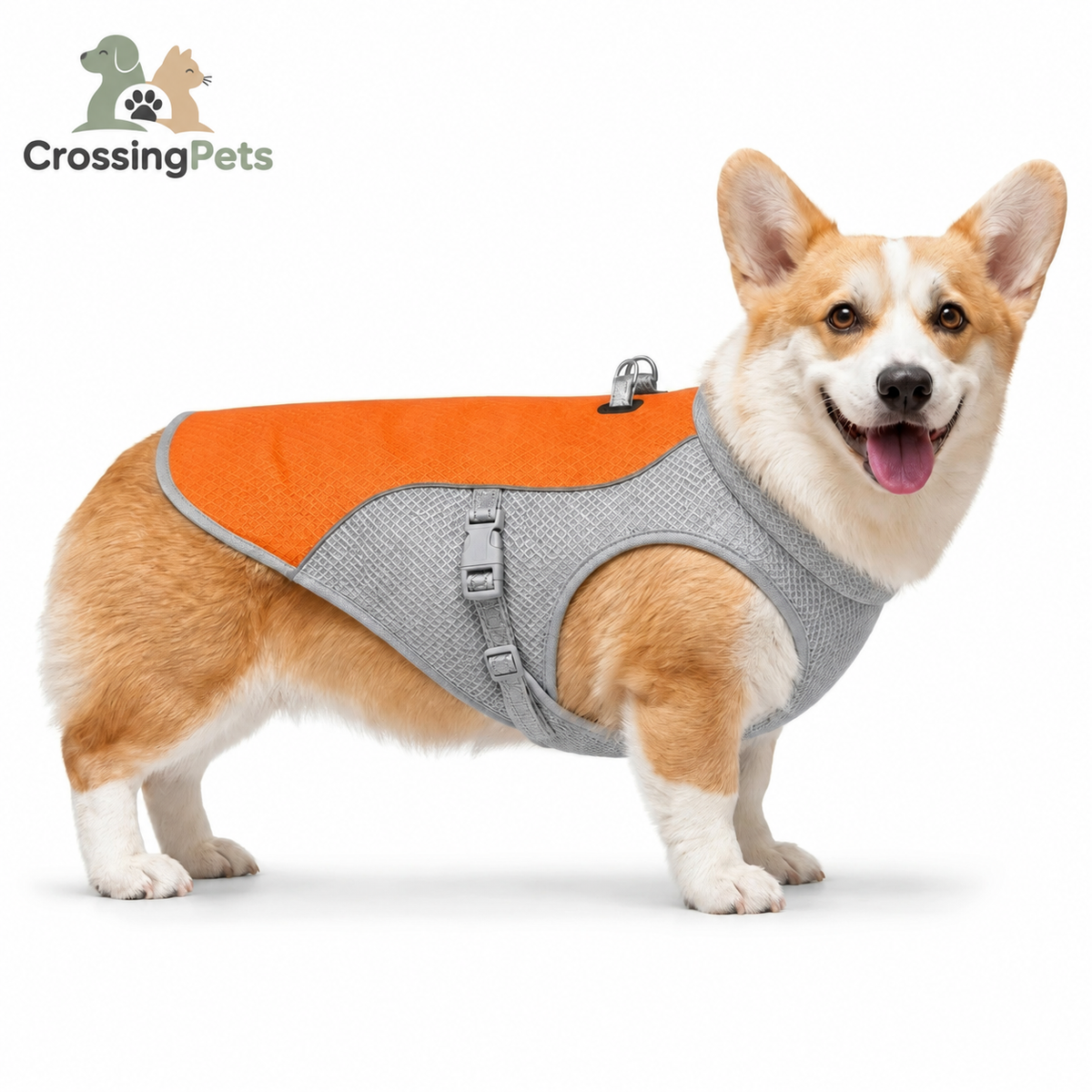 Chaleco refrescante Detixy CrossingPets, imagen 3