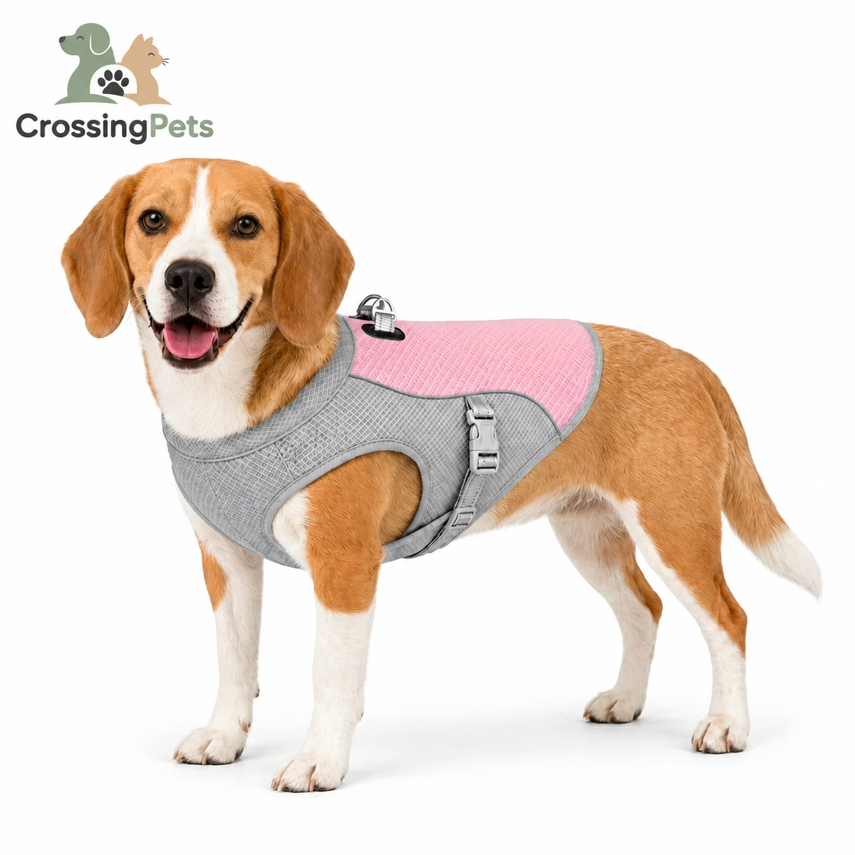 Chaleco refrescante Detixy CrossingPets, imagen 13