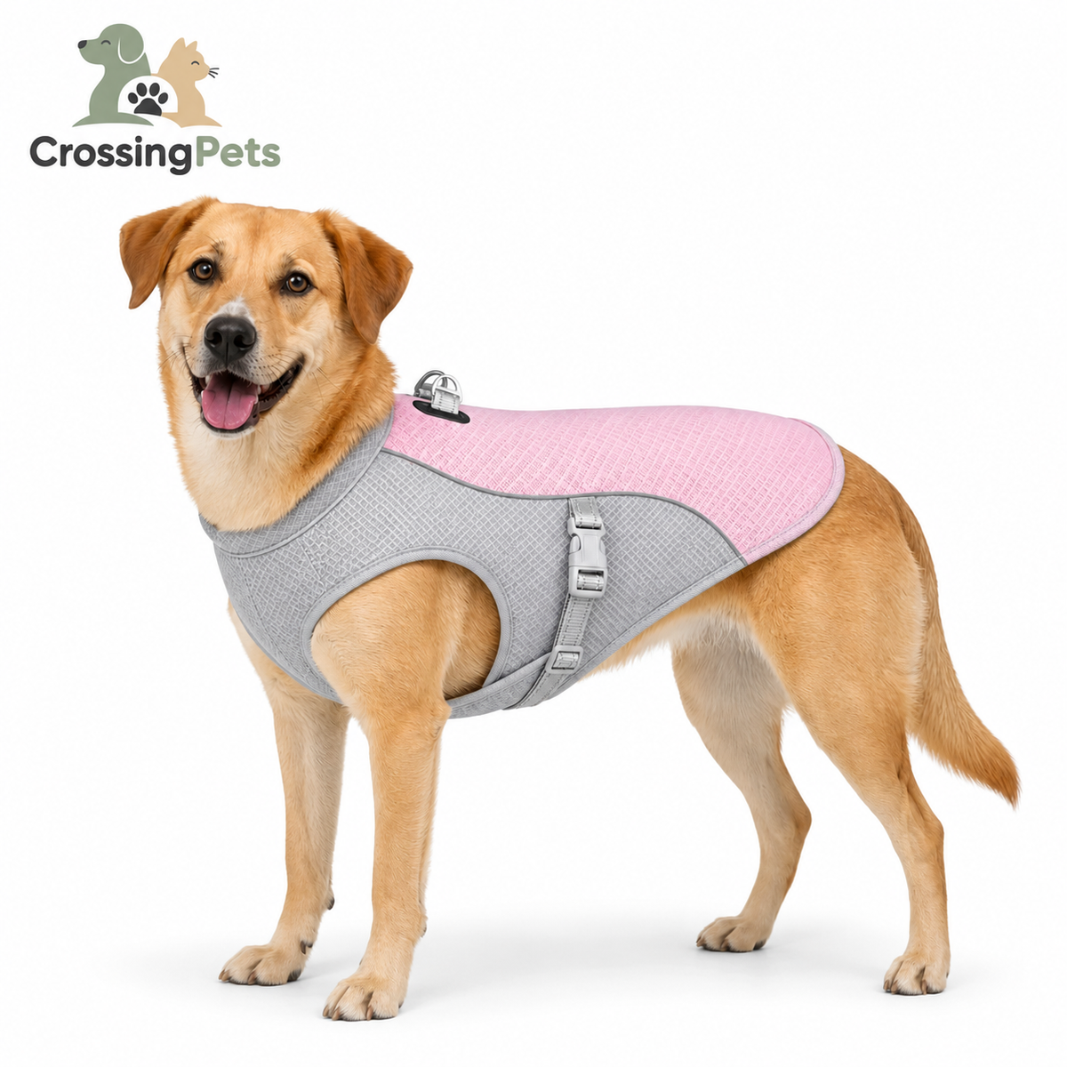 Chaleco refrescante Detixy CrossingPets, imagen 14