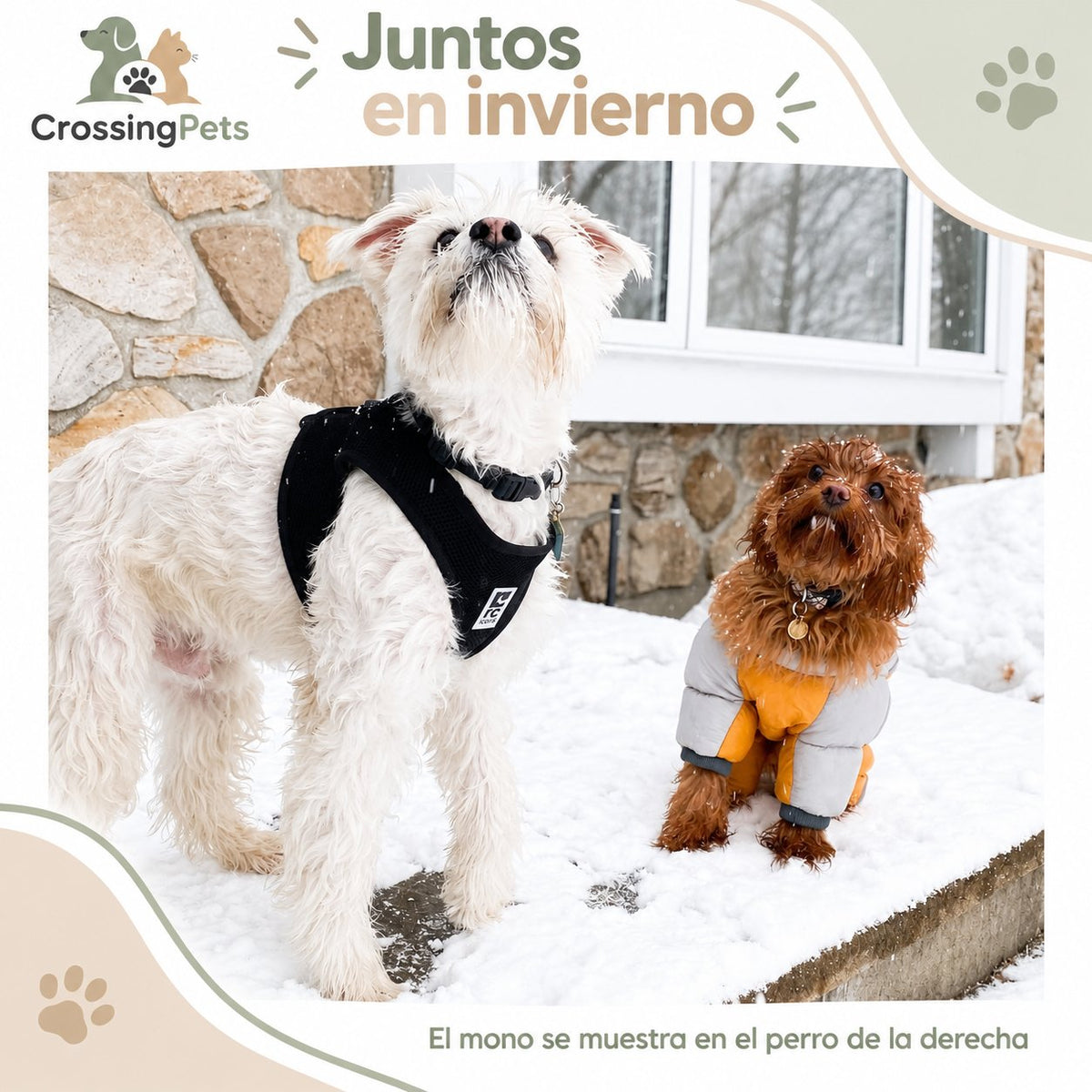 Mono de invierno reflectante con anilla — CrossingPets · imagen 26