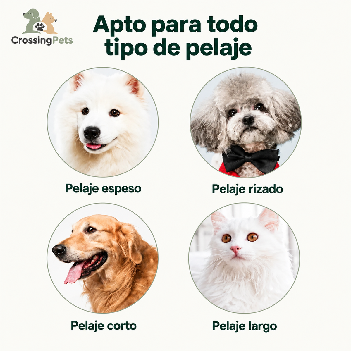 Kit de aseo CrossingPets — imagen 6 en español