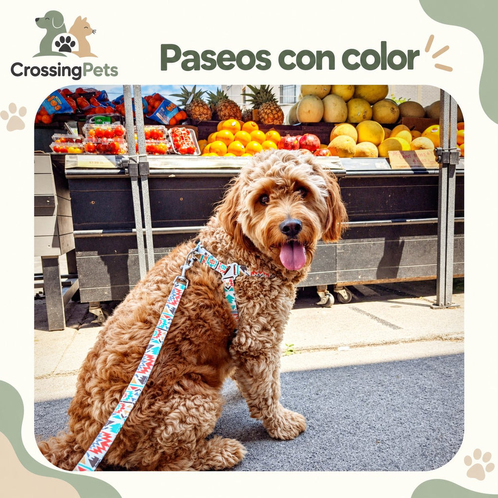 Arnés estampado con correa a juego — CrossingPets · imagen 9