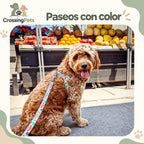 Arnés estampado con correa a juego — CrossingPets · imagen 9