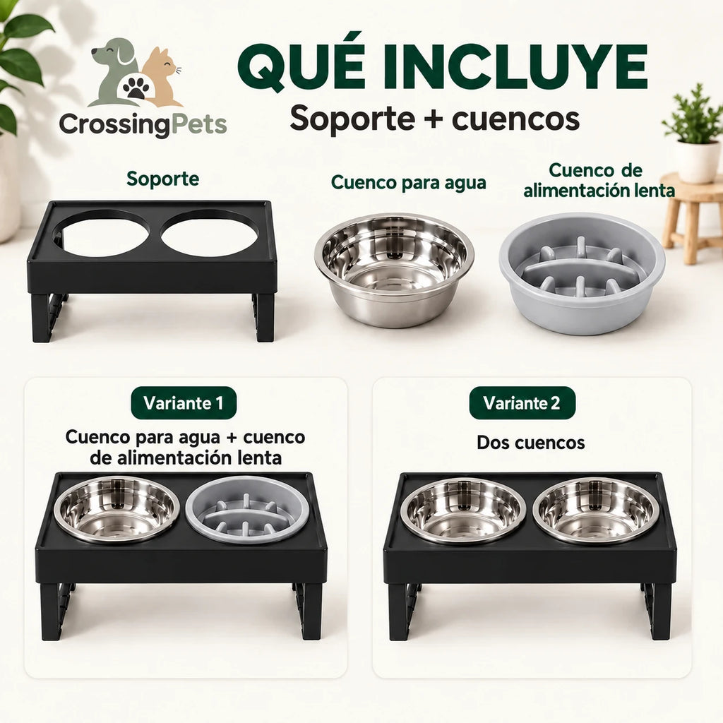 Contenido y variantes del cuenco elevado ajustable — CrossingPets