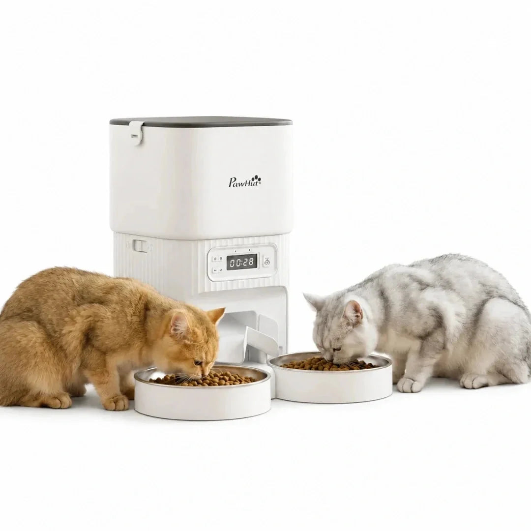 Comedero automático para mascotas de 4 L con dos cuencos PawHut