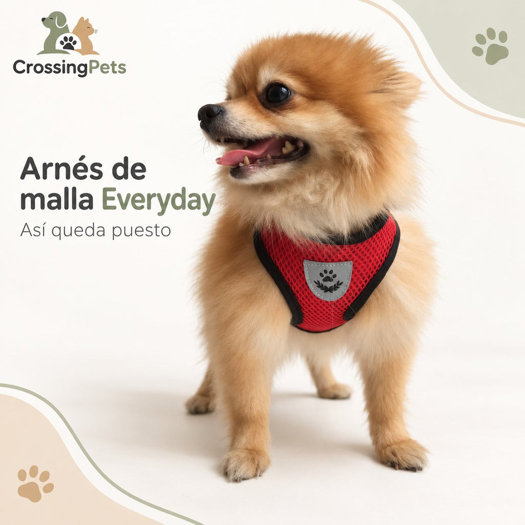Arnés Everyday de malla para perros pequeños — CrossingPets · imagen 9