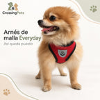 Arnés Everyday de malla para perros pequeños — CrossingPets · imagen 9