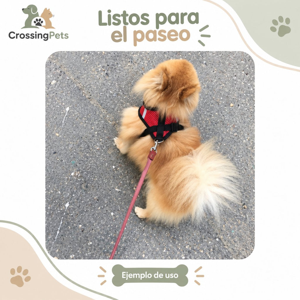 Arnés Everyday de malla para perros pequeños — CrossingPets · imagen 10