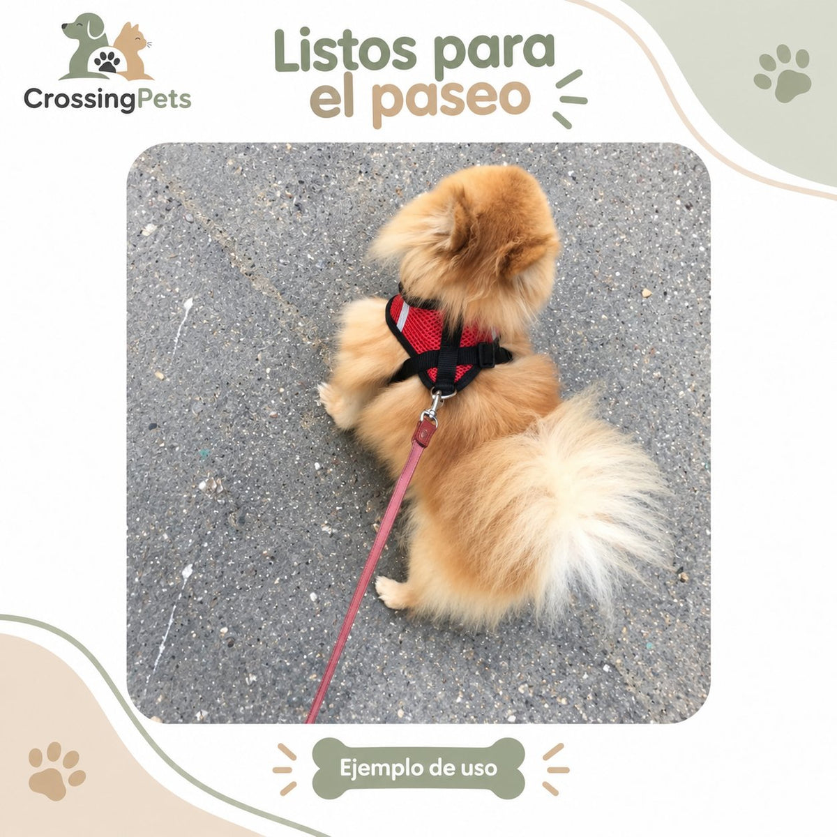 Arnés Everyday de malla para perros pequeños — CrossingPets · imagen 10