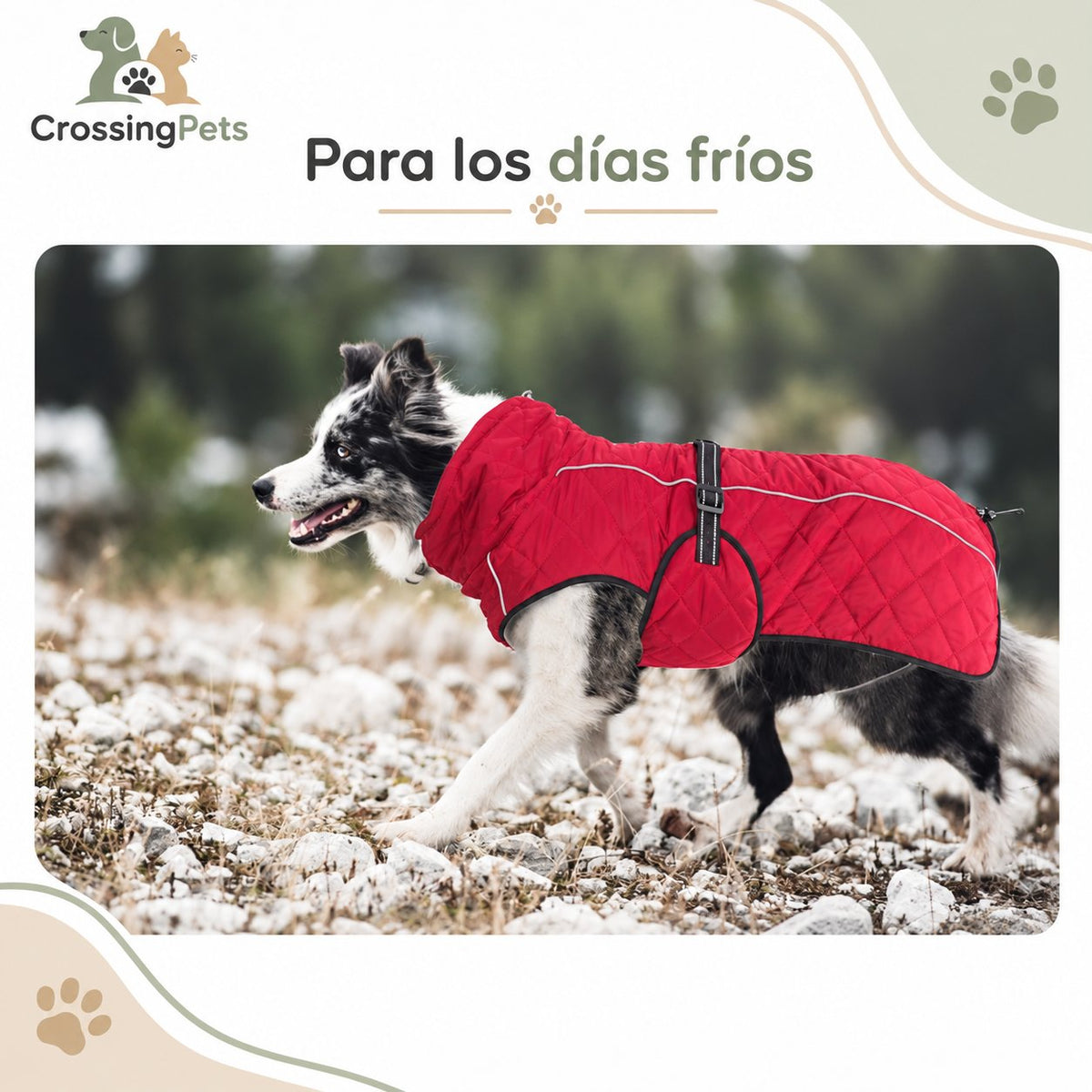 Chaqueta de invierno Everyday para perros — CrossingPets · imagen 6