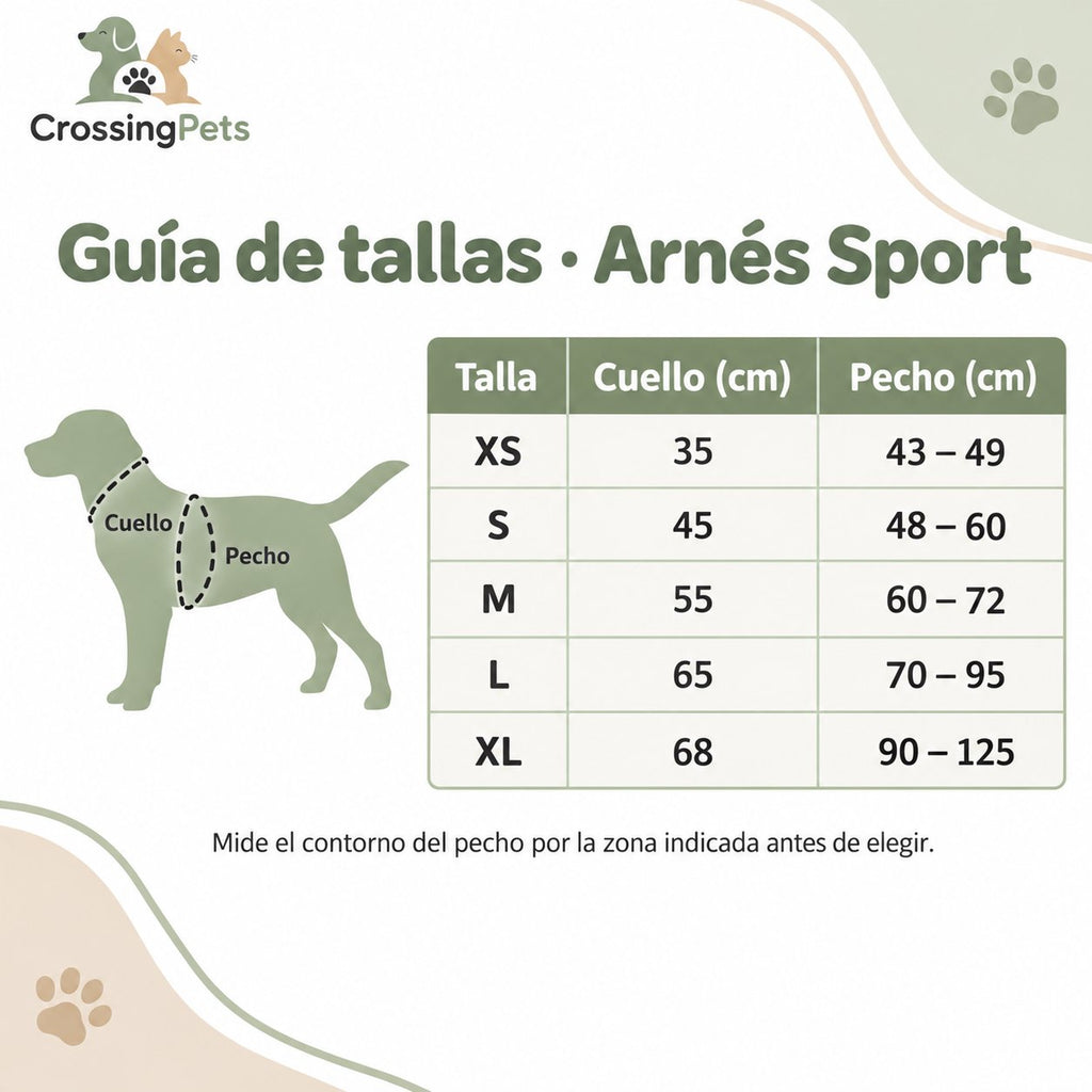 Arnés Sport acolchado con doble enganche — CrossingPets · imagen 7