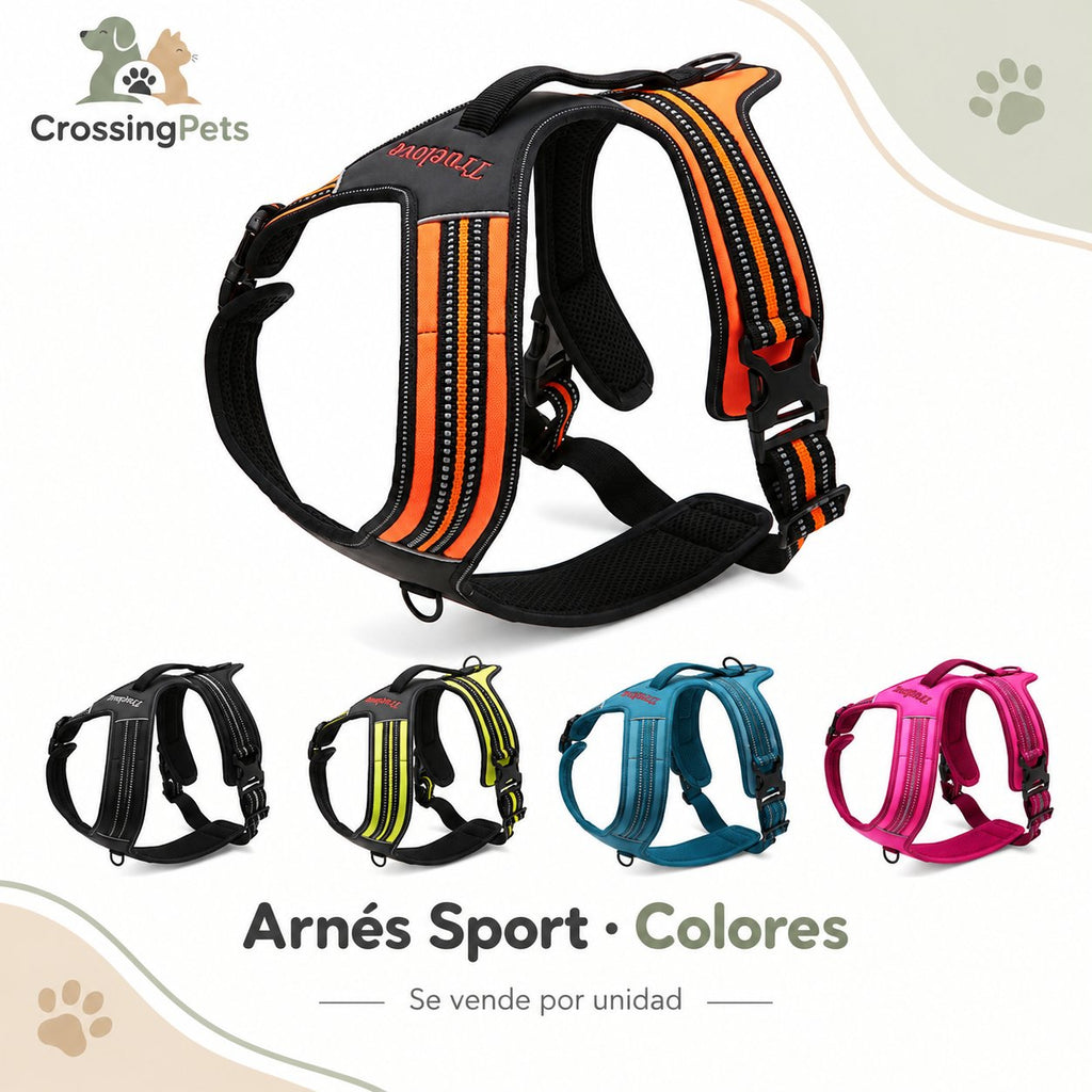 Arnés Sport acolchado con doble enganche — CrossingPets · imagen 6
